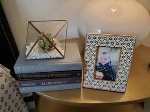 lot 194 image: Tozai Frame, Faux Succulent & 4 Books