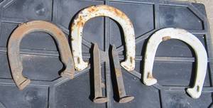lot 927 image: horse shoes and railroad spikes