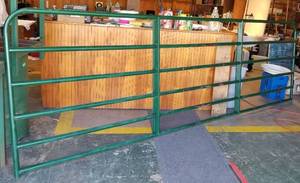 lot 1302 image: Fence panel  gate