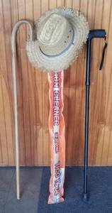 lot 1309 image: 2 canes and a shotgun cleaner