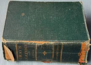 lot 184 image: Vintage 1924 Grays Anatomy book as shown.