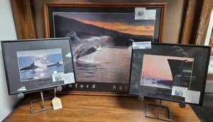 lot 456 image: PAIR OF FRAMED TALBOT WHALE PICTURES AND FRAMED WHALE PRINT BY SANDORD AGLIOLO AS SHOWN.