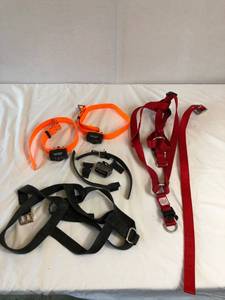 lot 78 image: Dog Collars