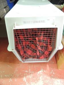 lot 60 image: Varied Kennel large dog kennel 40x27x30 large red dog bed included inside GREAT condition