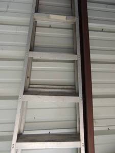 lot 258 image: 8FT Step ladder