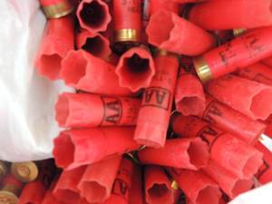 lot 19 image: 12 gauge shells empty for reloading. Large quantity Winchester AA 3 bags