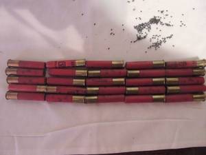 lot 25 image: 410 shotgun shells  9 shot reloads   quantity 25