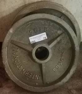 lot 75 image: 2 ROUND 25 LBS. WEIGHTS AS SHOWN. YOU ARE BIDDING BY THE PIECE