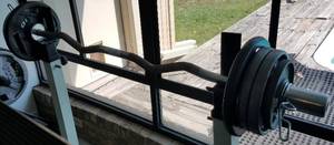 lot 11 image: BARBELL CURL BAR WITH ASSORTED WEIGHT PLATES AS SHOWN. RACK NOT INCLUDED.
