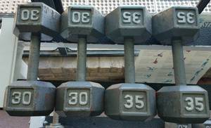 lot 14 image: DUMBBELL WEIGHTS IN SIZES AS SHOWN. YOU ARE BIDDING BY THE PIECE.
