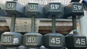 lot 15 image: DUMBBELL WEIGHTS IN SIZES AS SHOWN. YOU ARE BIDDING BY THE PIECE.