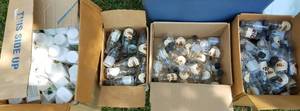 lot 754 image: LARGE LOT OF CRAFTING BOTTLES IN VARIOUS STYLESSIZES AS SHOWN. GENEROUS COUNT