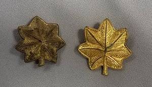 lot 190 image: Vintage goldtone miltary leaf pins