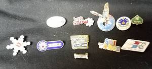 lot 296 image: Ski related pins