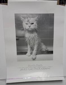 lot 348 image: Berts Bath by James Flad Print