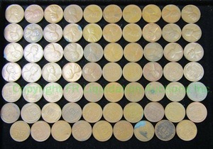 lot 556 image: Wheat pennies 70 count