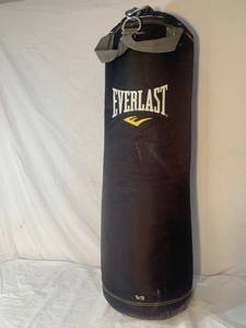 lot 10 image: Everlast Heavy bag