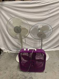 lot 173 image: Fans