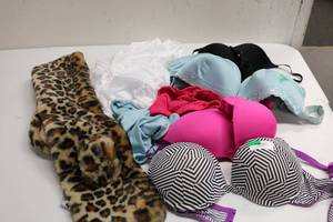 lot 114 image: Womens Underwear and Bra Lot w Scarf