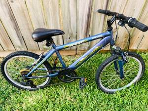 lot 137 image: Roadmaster Mountain Sport SX 20 Bike