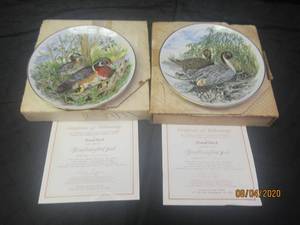 lot 176 image: DUO 1982 SOUTHERN LIVING GALLERY WITH COA��- WOOD DUCK- PINTAIL DUCK