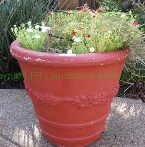 lot 519 image: Large flower pot with plant