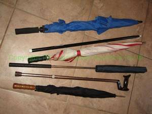 lot 332 image: Umbrellas and walking canes as shown