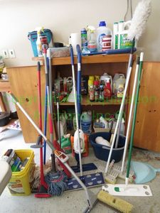 lot 445 image: Assorted cleaning agents and insecticides plus as shown, generous quantity