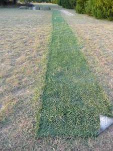lot 321 image: Roll of Football field Astroturf