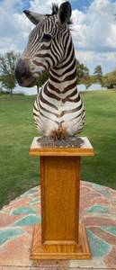 lot 11 image: Zebra Head and stand