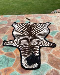 lot 59 image: Zebra Pelt