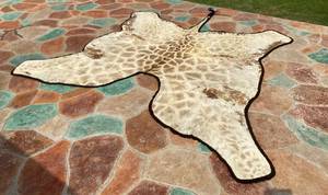 lot 60 image: Giraffe Pelt