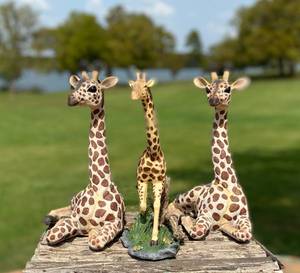 lot 76 image: Set of 3 Carminic Giraffes