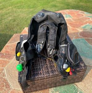 lot 100 image: Mares BCD System