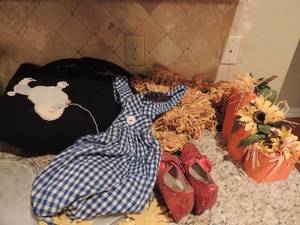 lot 193 image: Wizard of Oz handmade costumes