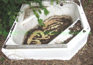 lot 265 image: Shower basin as shown