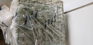 lot 64 image: Clear Stemmed Glasses 5 approx. with dishwasher caddy, 36 total