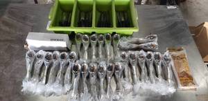 lot 242 image: Hiware Spoons (28 Dozen unopened), Serrated Knives (30 total) in cutlery bin and package of plastic drop cloths