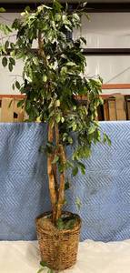 lot 269 image: Big Fake Tree