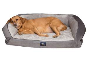 lot 255 image: Serta Memory Foam Dog Bed Gray Large