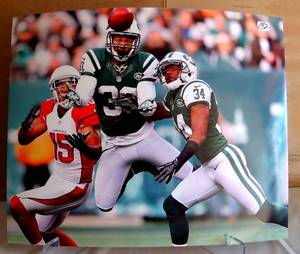 lot 192 image: PROFESSIONAL FINISH 8 X 10 PHOTO - LaRon Landry New York Jets