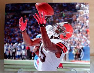 lot 193 image: PROFESSIONAL FINISH 8 X 10 PHOTO - Greg Little Cleveland Browns