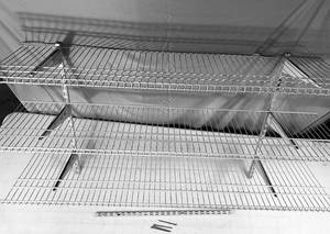 lot 157 image: 3 Wall Mounted White Shelves and Mounts 2 (59 long) 1 (54 long)