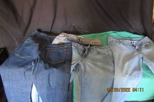 lot 104 image: JEANS- 5 PAIR-TAYLOR1314L, GAP 1969 BOOTCUT 10R,SARAH JESSICA PARKER 10R, GLORIA VANDERBILT 10, NO BOUNDARIES 11,