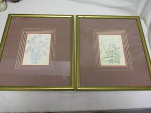 lot 95 image: 2-Framed Flower Prints By Hayes Design