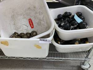 lot 475 image: Mixed lot of Casters