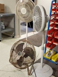lot 868 image: Fans ( 2 Pedestal Fans, 1 Floor) (3 Total)