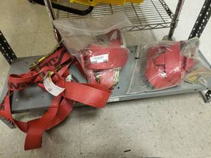 lot 890 image: RATCHETING TIRE STRAPDOWNS (3 TOTAL)