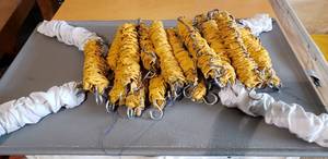 lot 892 image: Extra Spring Base for Hampers and 19 Extra Springs