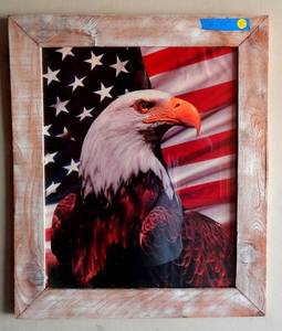 lot 35 image: Patriotic American Bald Eagle under glass in rustic wood frame - PROUD